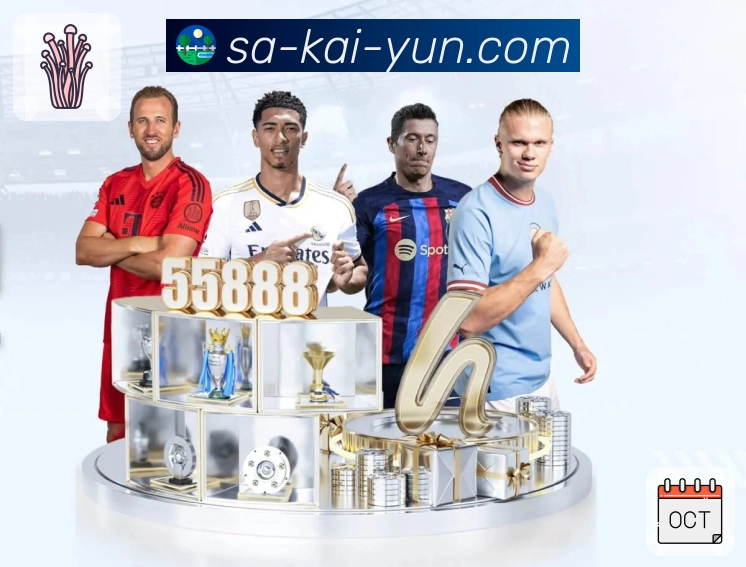 开云APP 体育赛事宣传图